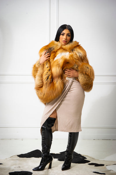 BMW0119_8bc4de29-8497-41d8-