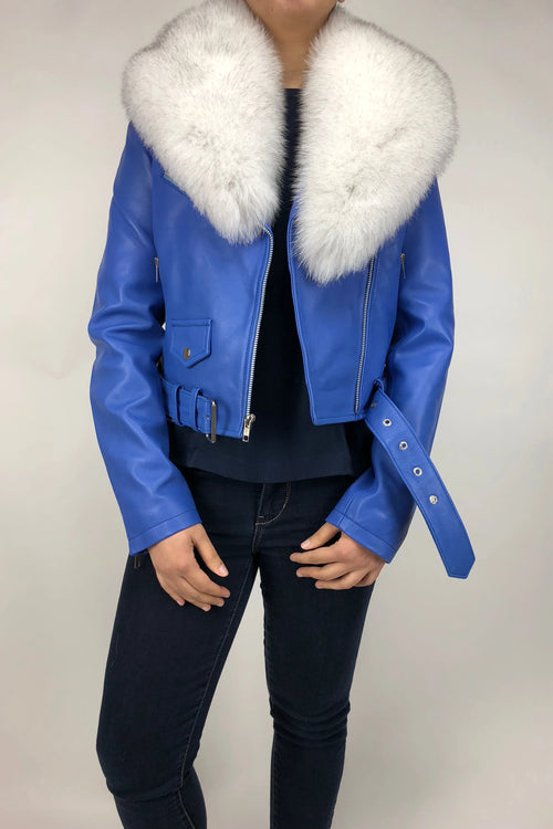 Women's Classic Biker Royal Blue With Fox Collar [SLIM FIT]