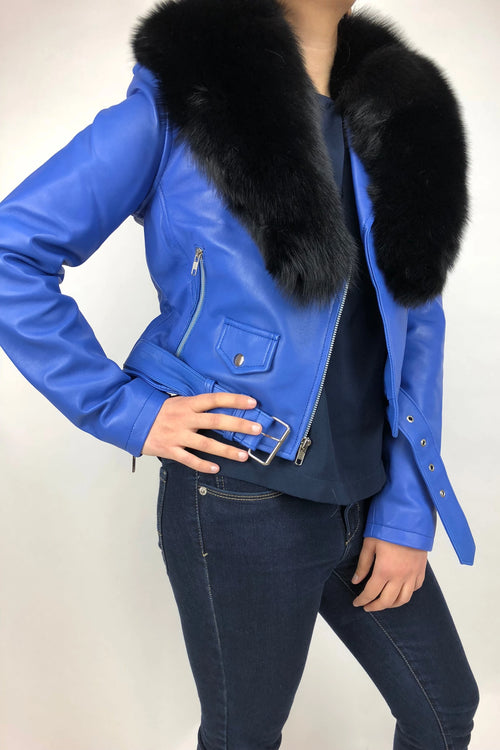 Women's Classic Biker Royal Blue With Fox Collar [ SLIM FIT ]