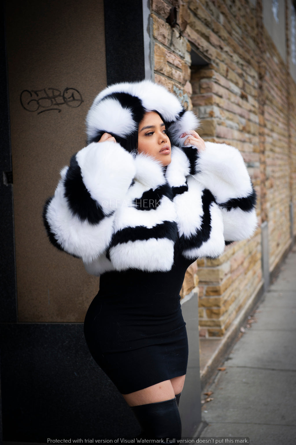 Women's Striped Crop Fox Bomber With Hood [Black/White]