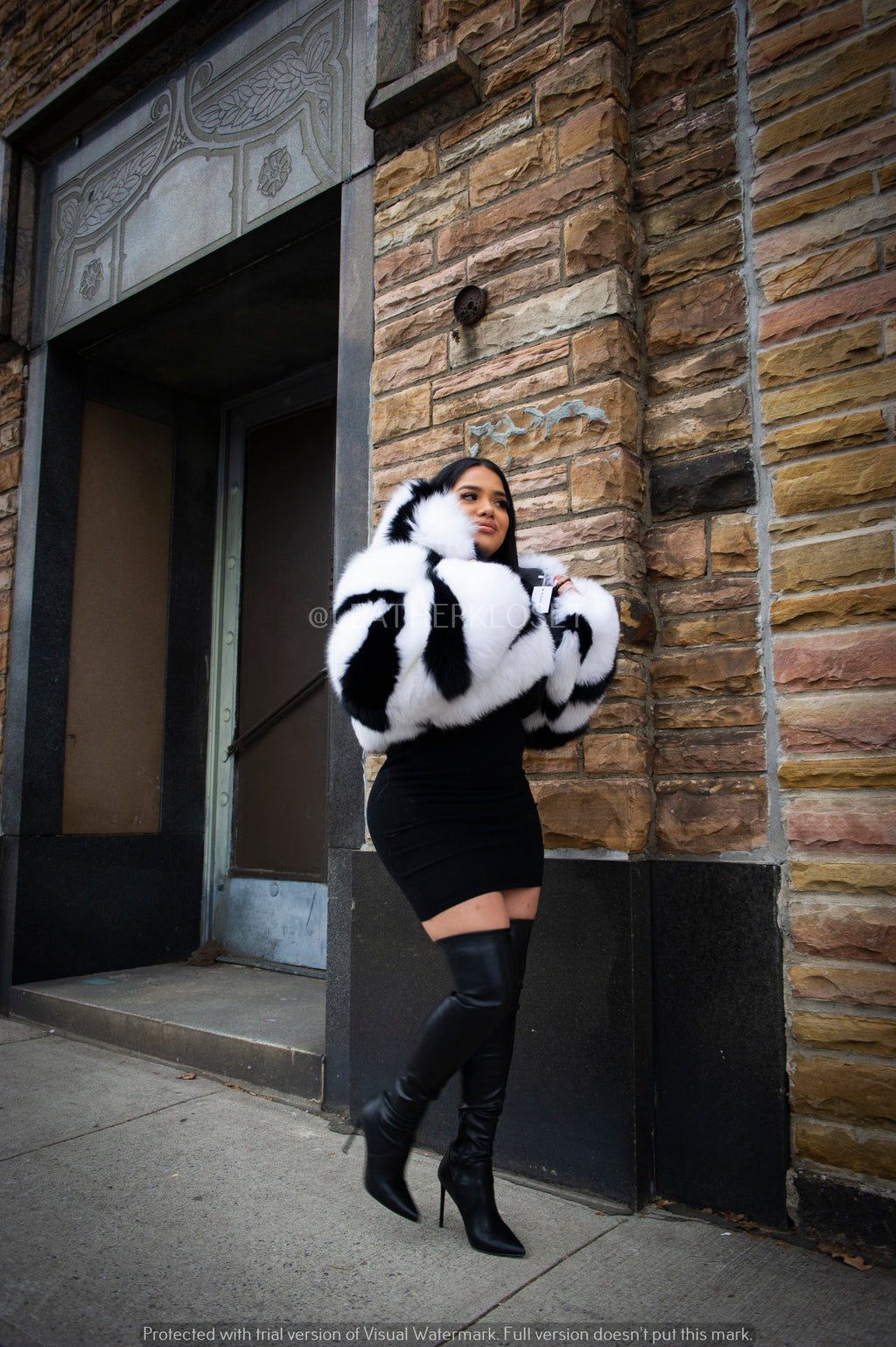Women's Striped Crop Fox Bomber With Hood [Black/White]