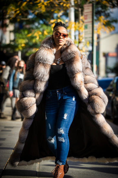 BMW7074_grande.jpg?v=1637708630